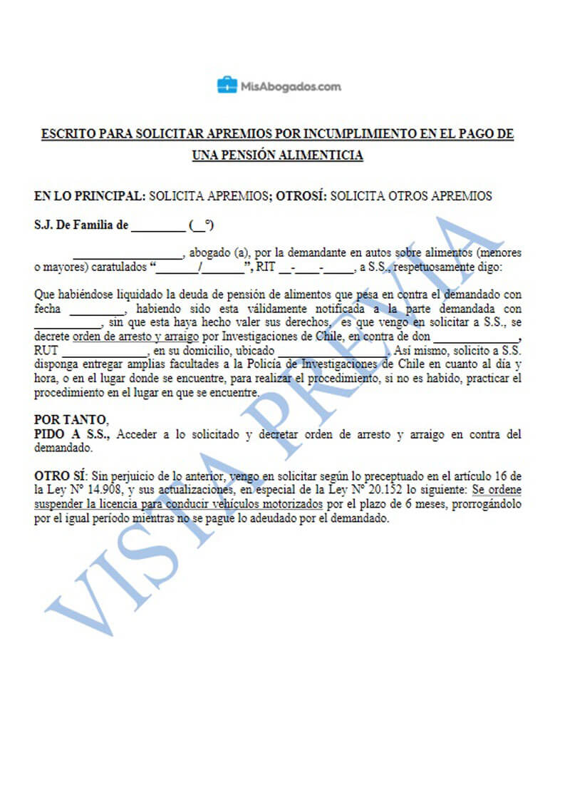 Carta De Renuncia Chile Pdf - www.djdareve.com